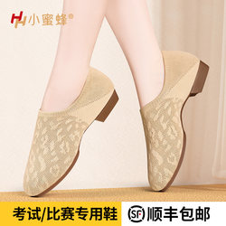 Professional Camel Cheerleading Flower Ball Dance Shoes Modern Dance Shoes Fly Woven Breathable and Comfortable Gymnastics Aerobics for Women