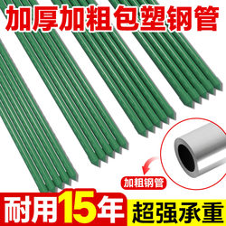 Cucumber Trellis, Flower Stand, Grape Vine, Rose, Four-Season Beans, Tomato Support Rod, Plant Support, Vegetable Growing Rack, Vegetable Pole