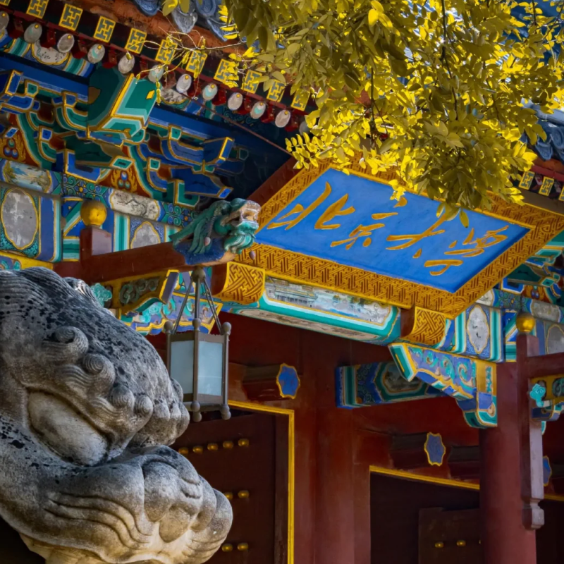 北京大学/清华大学一日游 打卡高等学府 祝金榜题名!