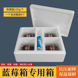 Foam Box for Blueberries, Special for Bayberries and Plums, Express Transportation, Refrigerated and Fresh-Keeping, Cherry Fruit Insulated Box, 2 Pounds 2.5kg Pack