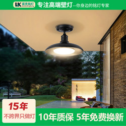 Balcony Light, Ceiling Light, Outdoor Waterproof and Insect-Proof, Outdoor Corridor Courtyard Ceiling Light, 2025 New Model, Special Light for Sunroom