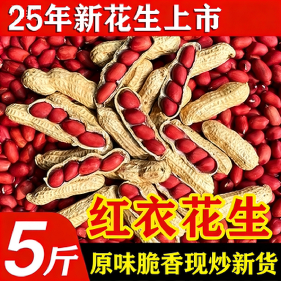 
Four red peanuts in shell, Northeast red peanuts, 2025 new fruits, naturally sun-dried old variety red skinned peanuts