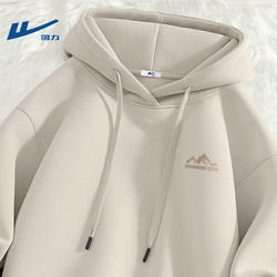 Pull Back Sweatshirt with Hood for Men, Youth Spring 2026 New Style, Sporty Boys' Clothing, Loose Jacket for Men