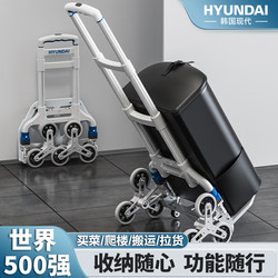 Korean Modern Grocery Shopping Cart, Portable Folding Trolley, Hand-Pulled Cart for Transporting Goods, Small Grocery Cart, Hand Push Cart