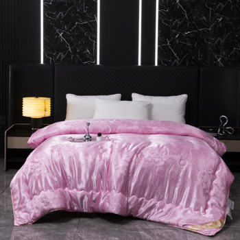 
Muji Monologue Jacquard Silkworm Chrysalis Protein Quilt Warm Spring and Autumn Quilt Core Single Double Student XL20