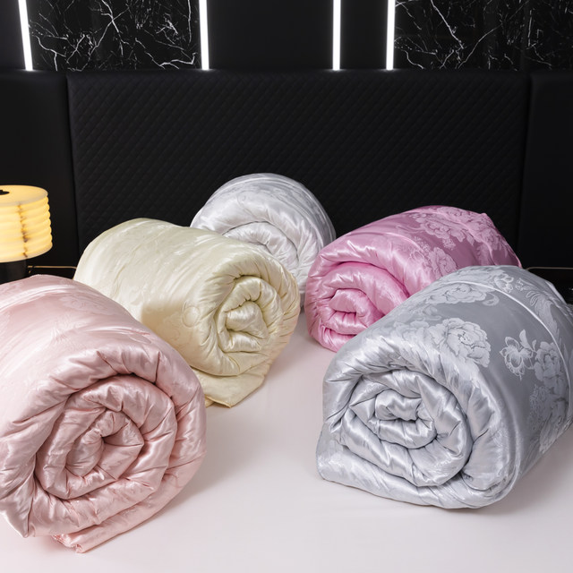 Muji Monologue Jacquard Silkworm Chrysalis Protein Quilt Warm Spring and Autumn Quilt Core Single Double Student XL11