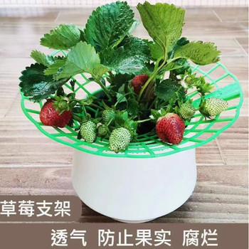 
Strawberry stand sunflower tray anti-falling leaf protection