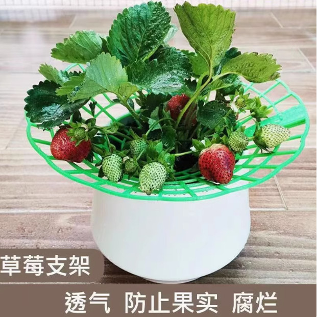 Strawberry stand tray gardening supplies family balcony planting sunflower potted seedlings anti-rot fruit support rack