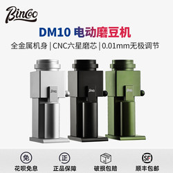 Bincoo Electric Bean Grinder Household Coffee Grinder Italian-Style Hand-Brew Professional Small Grinder Fully Automatic
