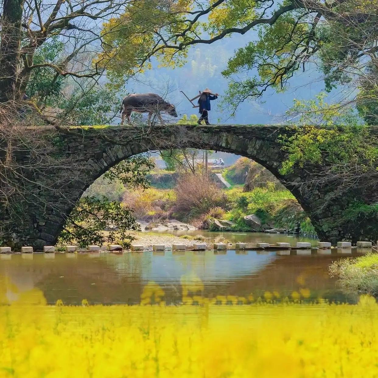 江西旅游婺源篁岭庐山景德镇南昌鄱阳湖石钟山4天3晚四日跟团游