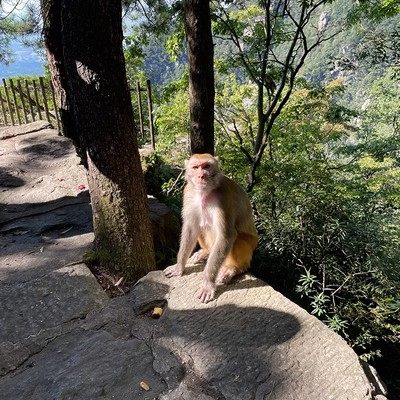 江西旅游南昌出发庐山瀑布美庐别墅必住山顶2天1晚跟团游二日游