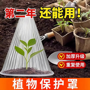 Vegetable plant cover melon seedlings seedlings seedlings seedlings in greenhouse seedlings insulation insects and birds anti-frost protection cover
