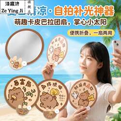 Reflective Fan Mini Folding Fan for Students and Children, Cute Portable Light Board for Photography, New Model