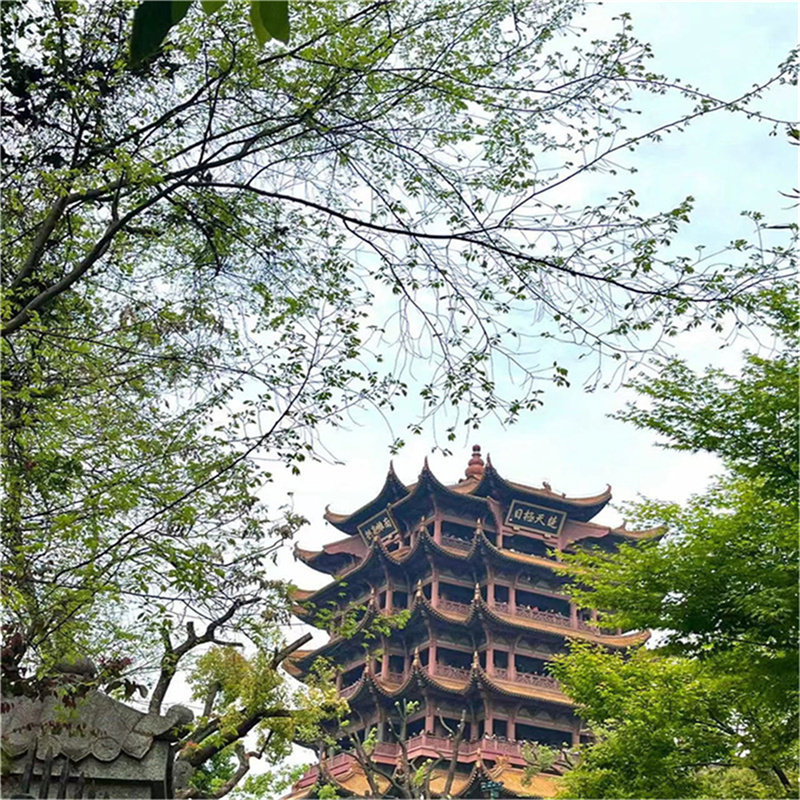 『私家包车游•武汉+襄阳2日游』博物馆+黄鹤楼+襄阳古城+唐城