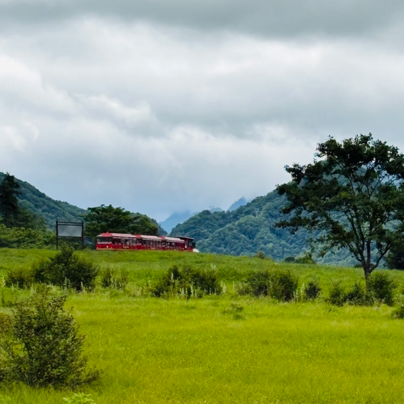 【私家包车游|湖北恩施+神农架+大九湖 7日游】 任性1次玩个够