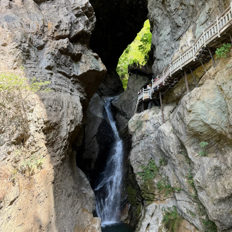 『神农架2日游|司机兼向导带玩/私家包车游』华中屋脊 经典秘境