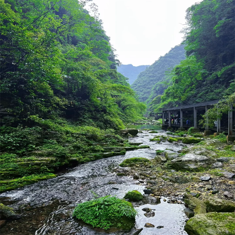 『宜昌经典2日游|司机兼向导/私家包车游』两坝一峡+三峡人家