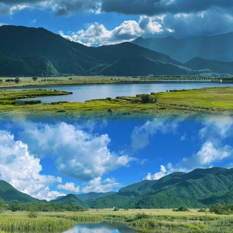 『神农架+大九湖2日游』司机兼向导/私家包车游 任性1次玩个够