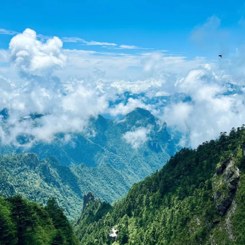 【2-8人拼小团】湖北宜昌+三峡+神农架 5日游 三峡遇上秘境