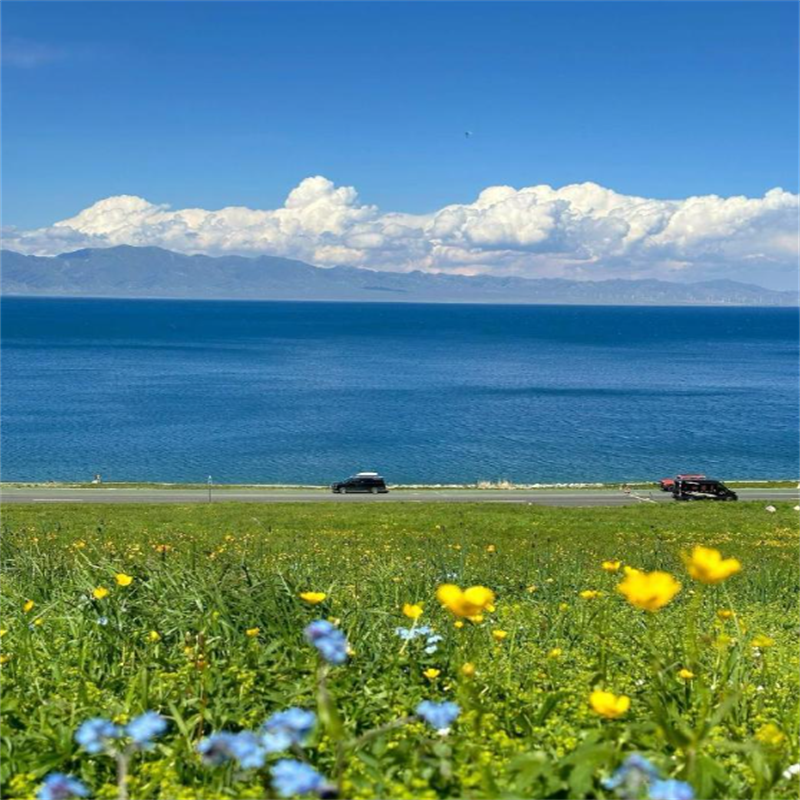 越野双湖8日游喀纳斯禾木赛里木湖