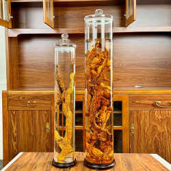 Straight high borosilicate glass special wine bottle with faucet ginseng cow vigorous deer whip high-end sealed storage tank