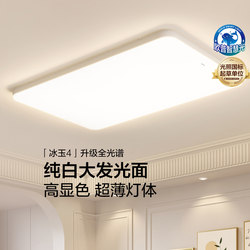 2026 New Model Op Simple Modern Large Whiteboard Led Smart Control Eye-Protection Ceiling Light for Living Room and Bedroom, Ice Jade Dp