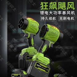 Green Knight Pure Copper Brushless Blower with Dual Functions of Blowing and Suction, Used for Dust Removal, Snow Removal, Car Washing, Water Collection, and Many Other Purposes