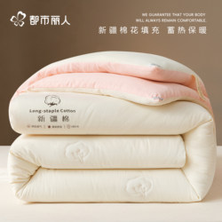 Urban Beauty Xinjiang Cotton Quilt All-Season 2026 New Winter Quilt Core Thickened Warm Single Quilt