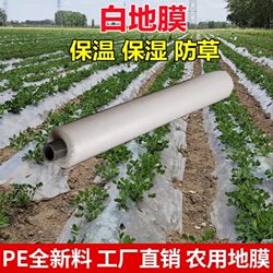 White Agricultural Plastic Film for Warmth and Moisture Retention in Vegetable Greenhouses and Orchards, Weed Control Fabric Film, Engineering Plastic Film