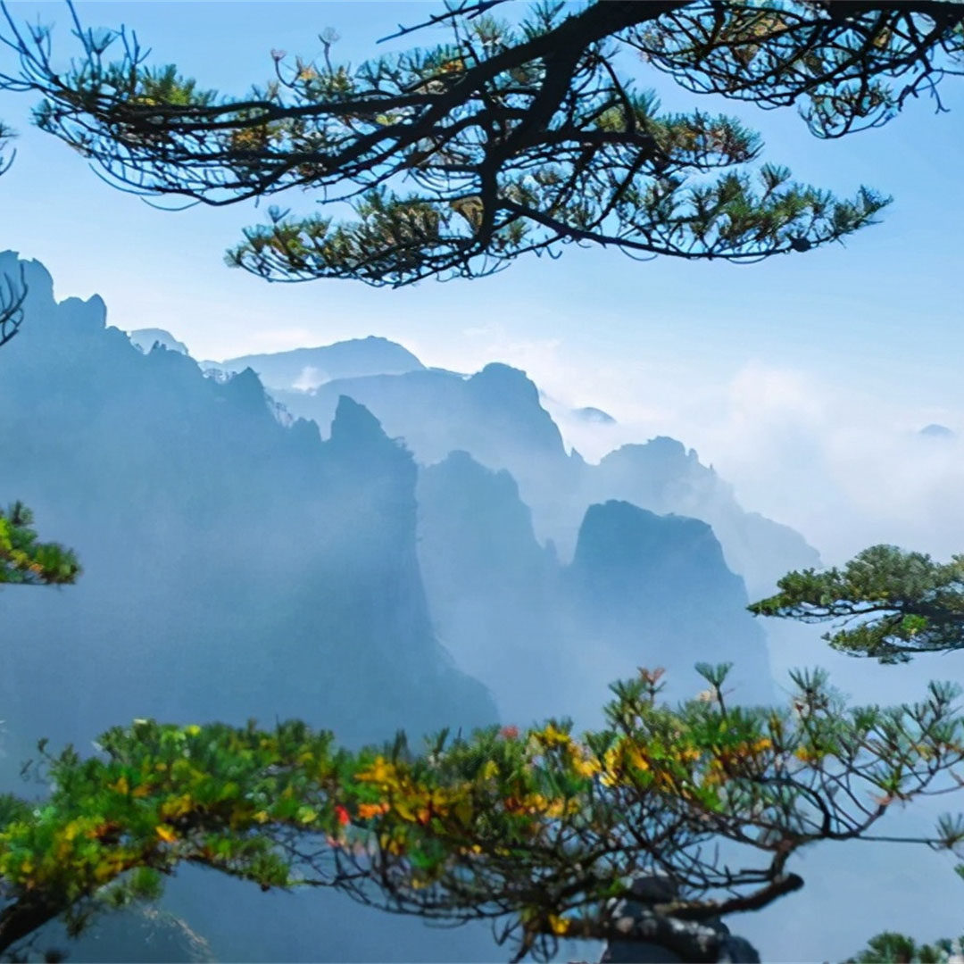 臻选黄山+宏村西递3日跟团|登黄山赏云山雾海,游古村享水墨徽韵