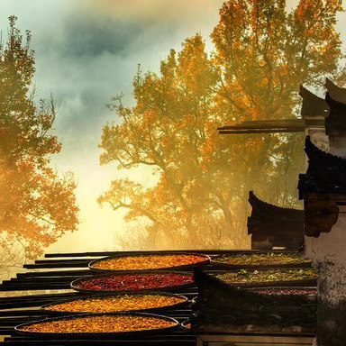 臻选篁岭+李坑8人小团︱逛徽州古村访晒秋人家,畅游婺源淳享徽韵