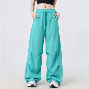 
XVRV [New in autumn] 2026 new thin scimitar double pleated loose harem paratrooper pants casual sports pants