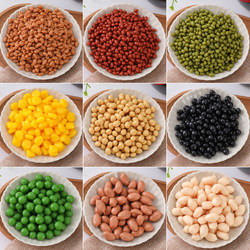 Simulated Grain Models, Fake Peanuts, Rice, Soybeans, Corn Kernels, Photography Decoration, Early Education Kitchen Ornaments, Decoration