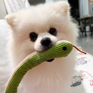 
Dog toy, head-shaking snake, grinding teeth to relieve boredom, making sounds, self-pleasure artifact, amusing cat, snake toy, small and medium-sized dog toy