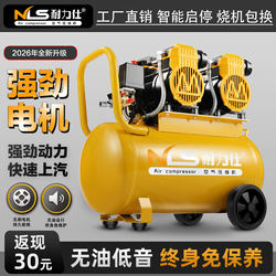 Endurance Air Compressor Silent Oil-Free Woodworking Spray Painting Auto Repair Air Pump 220V Small Portable Air Compressor