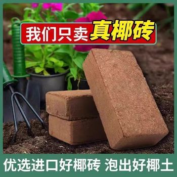Coconut brick nutritious soil universal coconut bran shell