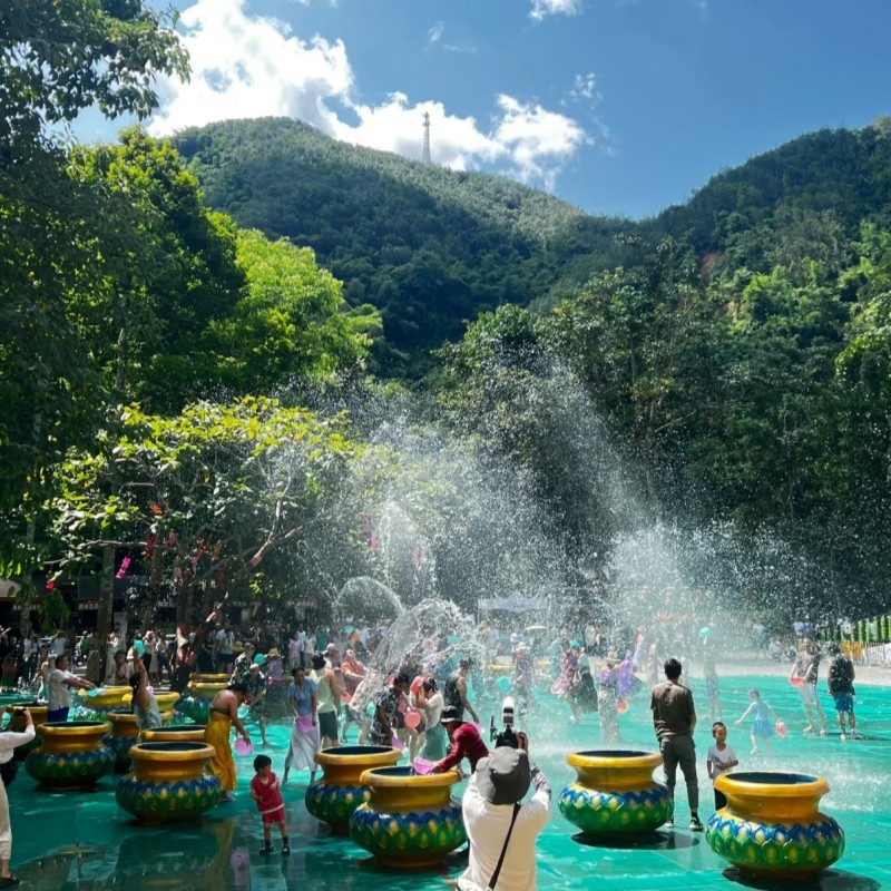 西双版纳纯玩一日游野象谷+原始森林公园纯玩一日游