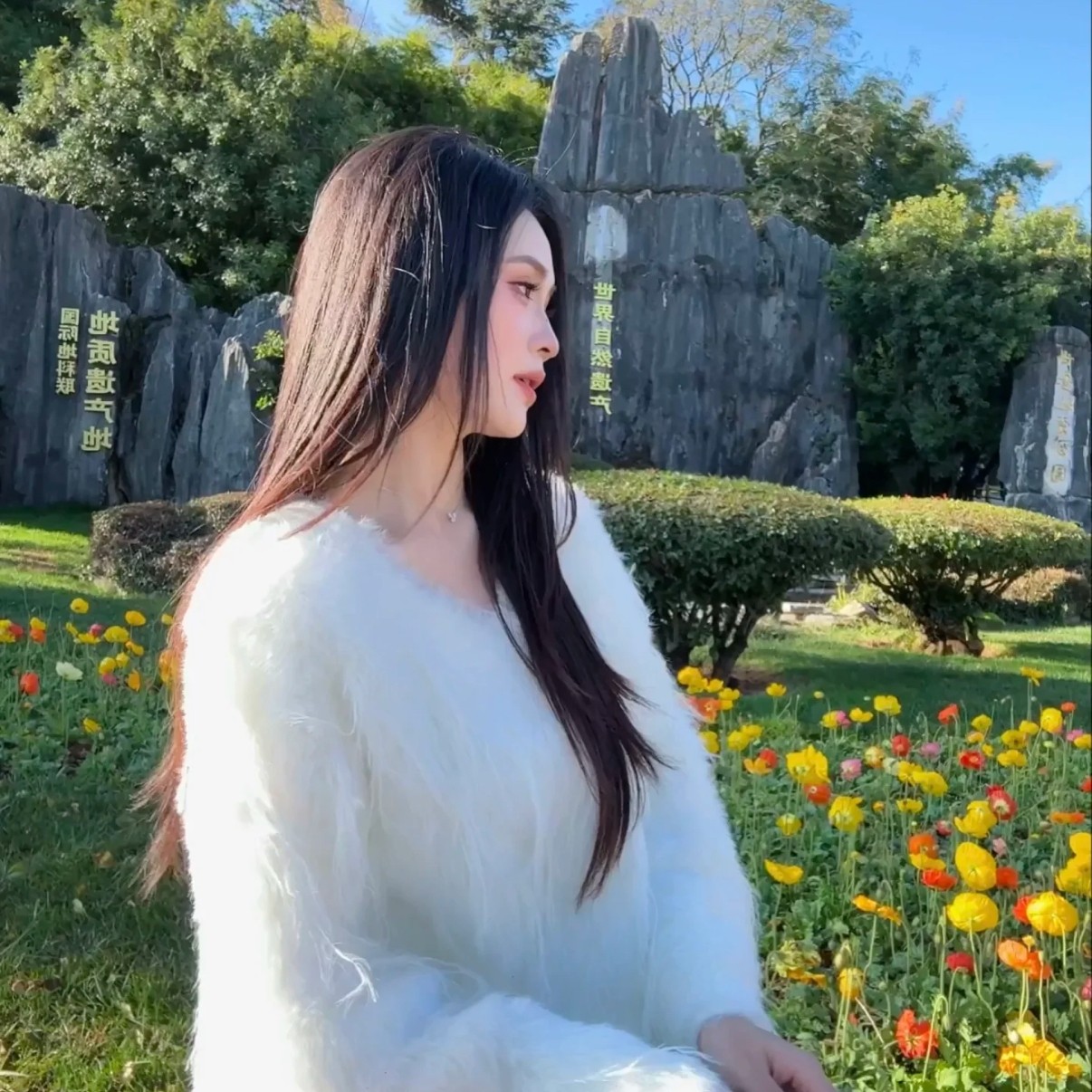 昆明一日游纯玩石林+抚仙湖一日游包车游私家团