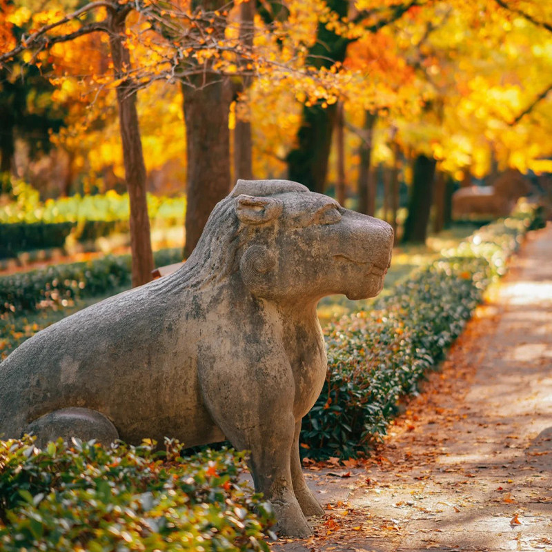 15人团/南京钟山 中山陵+美龄宫+明孝陵+音乐台一日游/穿越梧桐树