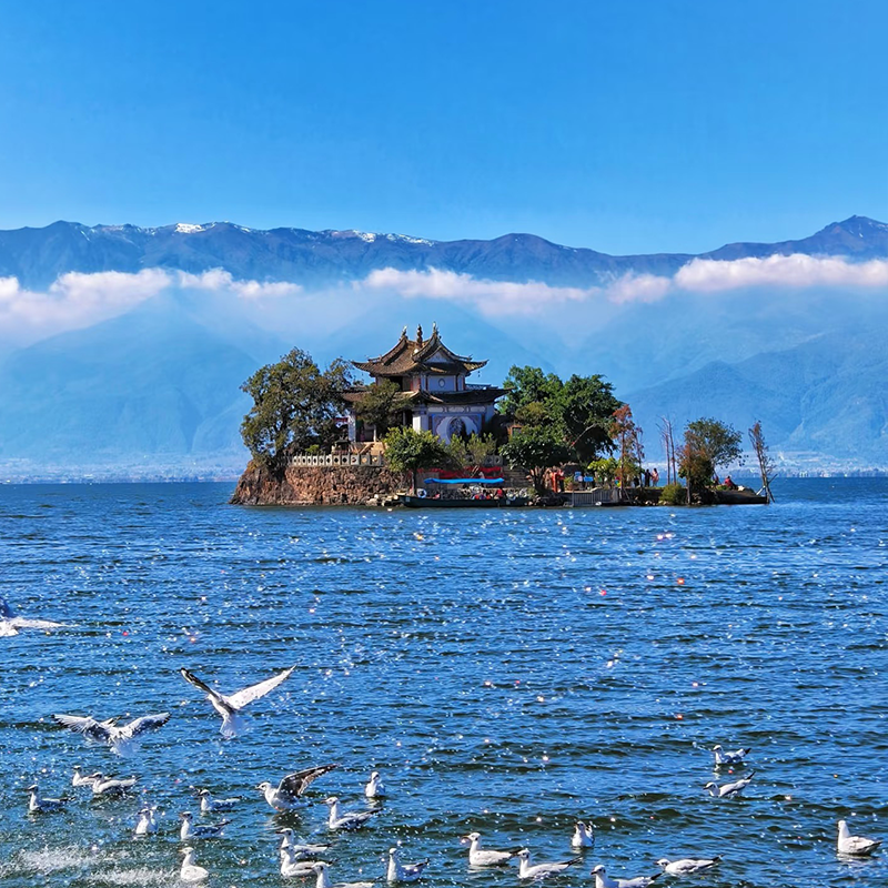 【私家团】云南旅游 纯玩大理环洱海包车摄影师导游旅拍1日游旅行