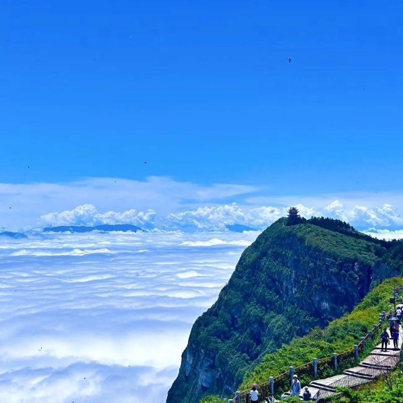 成都出发 乐山大佛+黄龙溪1日 可选船游 可升级2+1头等舱 三环接