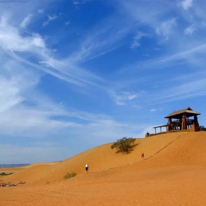 66号公路+腾格里沙漠露营+沙坡头+沙湖+镇北堡+枸杞园5日游 2人起