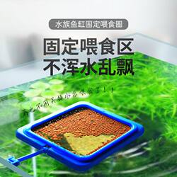Fish Tank Feeder Aquarium Fish Food Feeder Feeding Ring Small Fish Tropical Peacock Feed Buoyancy Feeder