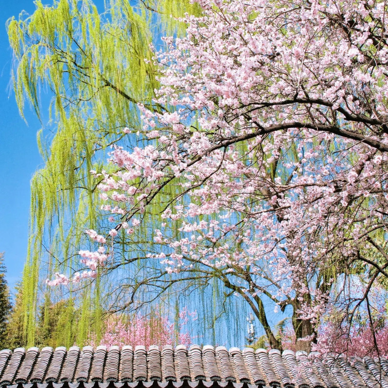 北京5日自由行+全程入住4晚热门商圈4钻酒店+身临其境感受老北京