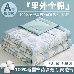 Crystal Home Textiles 100% Cotton Xinjiang Cotton Summer Quilt Summer Air-Conditioning Quilt Four-Piece Set Machine Washable Single and Double Sizes