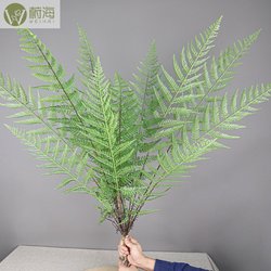 Simulated Malaria fern 7 tropical plants Nordic simulation plants Potted plants Persian grass fern leaves garden landscape green plants