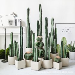 Nordic simulated immortal pillars large floor-standing tropical desert green plant measurement ruler fake cactus potted window decoration
