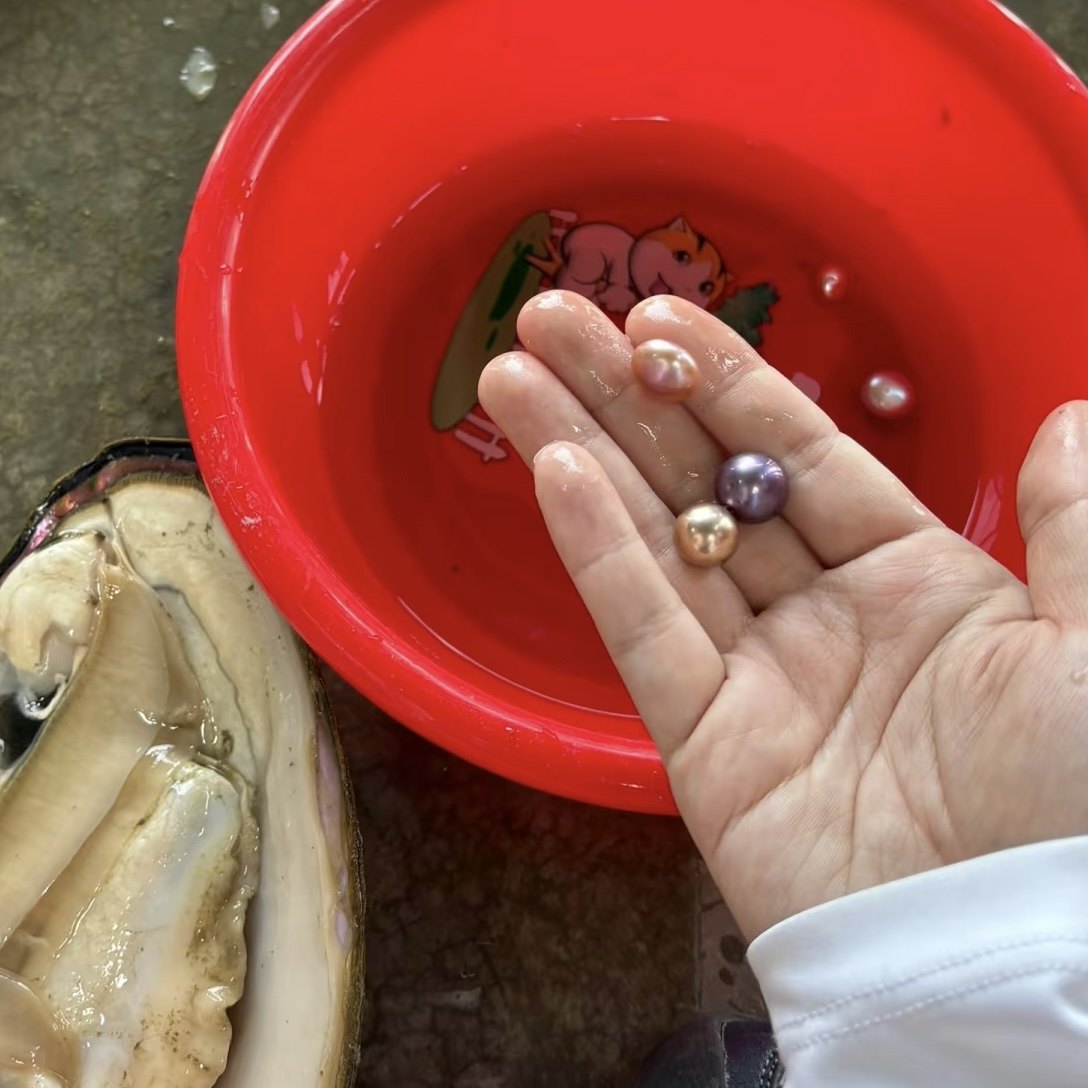 【红色研学】绍兴諸暨+俞秀松故居+蚌蚌塘体验开蚌+次坞打面