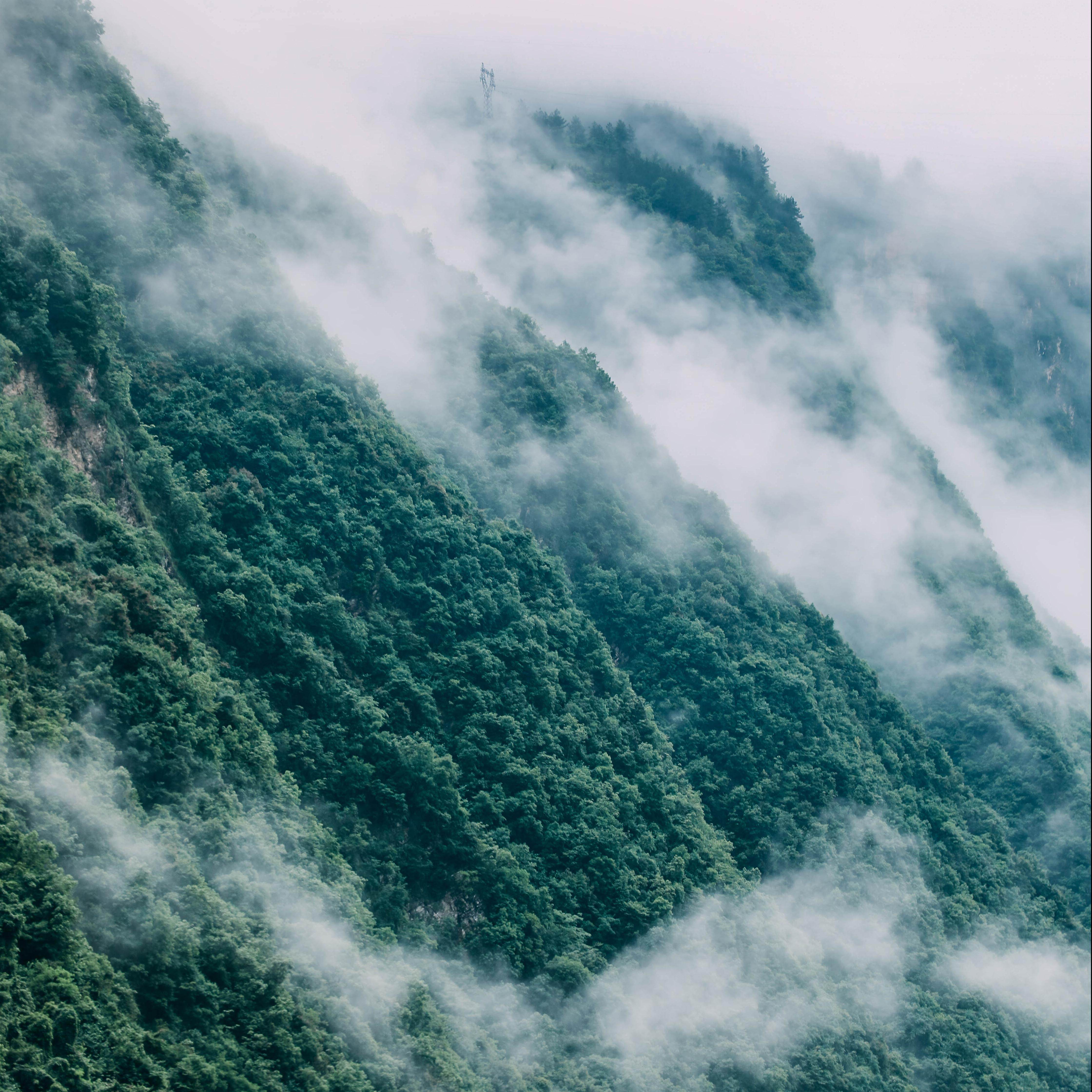 恩施大清江一日游【自营直通车+可接送可充电可躺2+1保姆车】