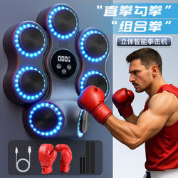 Boxing Target for Home Use, Multifunctional Wall-Mounted Punching Bag, Wall-Hanging Training Target, Music Boxing Target for Training